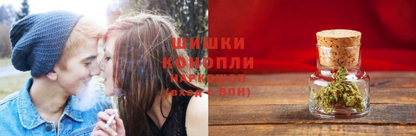 прущие крисы Зеленокумск