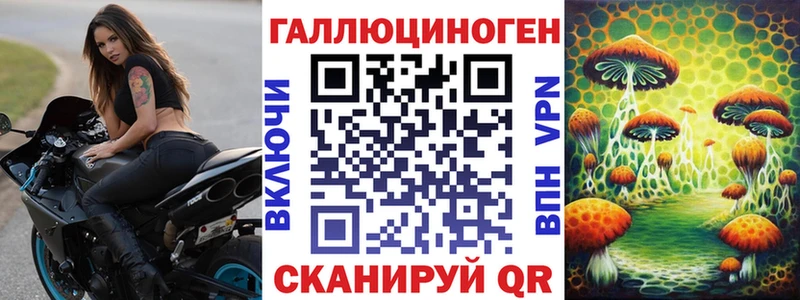 Купить закладки  Усть-Катав  Галлюциногенные грибы Psilocybine cubensis 